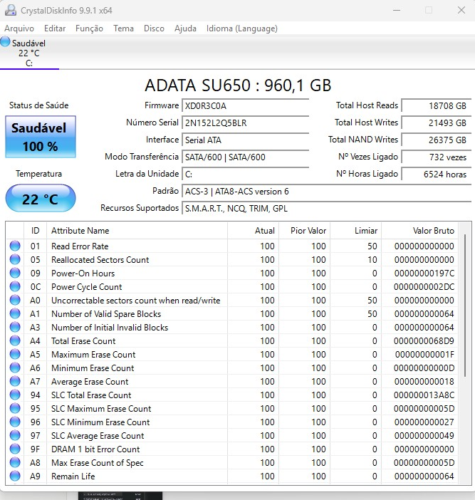 CrystalDiskInfo — SSD 100% saúde